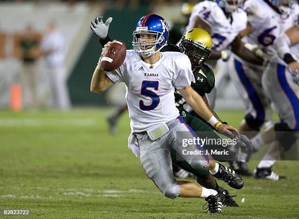 Todd Reesing Dimensional 194 Lineback Stock Photos, High-Res Pictures, and Images - Getty Images