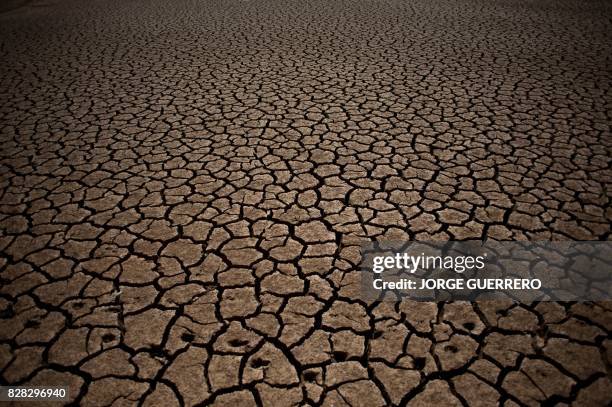 Picture shows the cracked riverbed due to drought in the Guadalteba reservoir, in Los Campillos, on August 9, 2017.