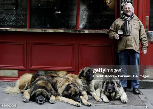 Joe Rothery From Chelmsford in Essex enjoys a pint in central London after taking his Leonberger Lion Dogs Remondo, Morgan, Josie and Arran out for a...
