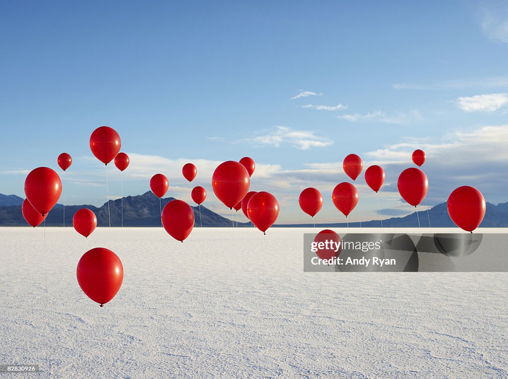 Group of Red Balloons on Salt Flats.