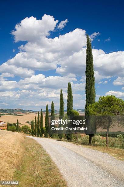 Tree Farm Rd 299 Tree Farm Building Stock Photos, High-Res Pictures, and Images ...
