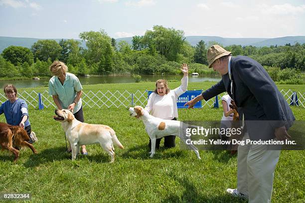 judge selecting winner at dog show - dog show stock pictures, royalty-free photos & images