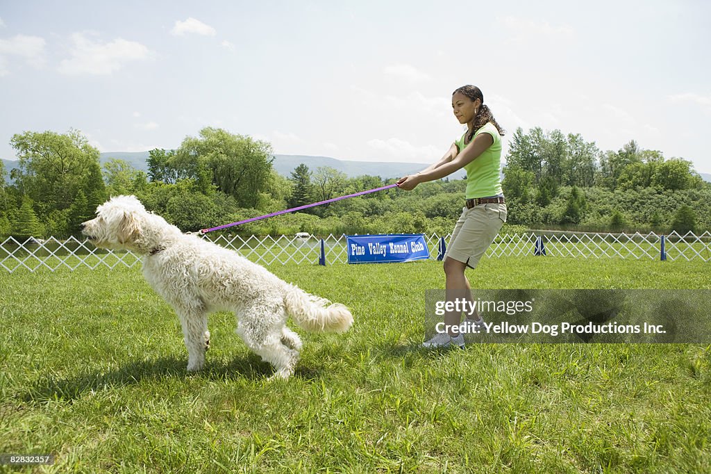 Misbehaving dog pulling his owner at dog show