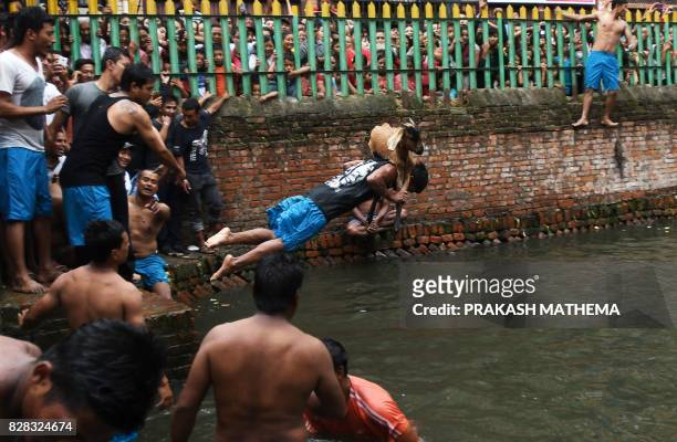 Man carrying a goat jumps into a pond during an ancient annual Hindu festival ritual in Khokana village on the outskirts of Kathmandu, on August 9,...