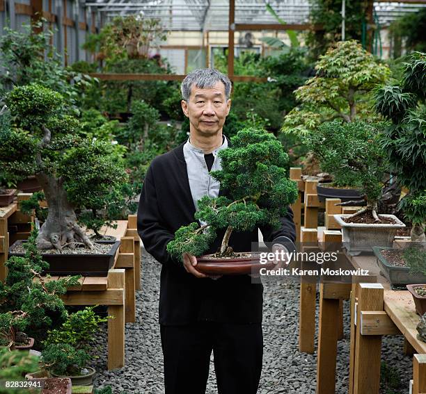 senior asian man holding bonsai tree portrait - bonsai fotografías e imágenes de stock