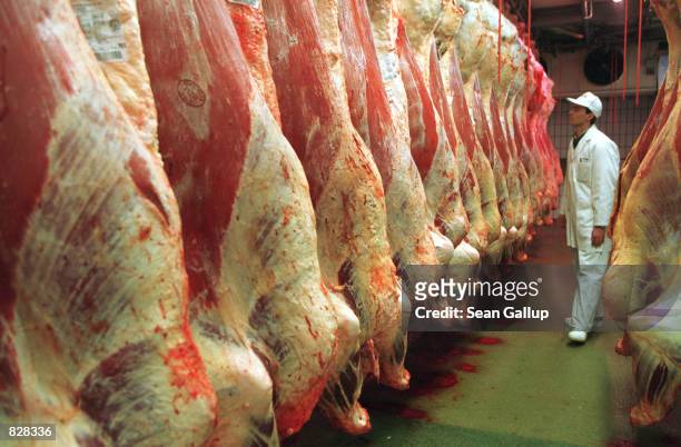 Worker checks sides of freshly slaughtered beef March 7, 2001 at the Moksel GmbH meat processing plant in Furth im Wald, Germany where the country's...