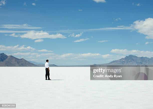 man standing alone on salt flats. - salt flats stock pictures, royalty-free photos & images