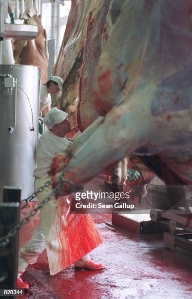 Worker cuts sides of freshly slaughtered beef at the Moksel GmbH meat processing plant in Furth im Wald, Germany, March 7 where the country's 3rd...