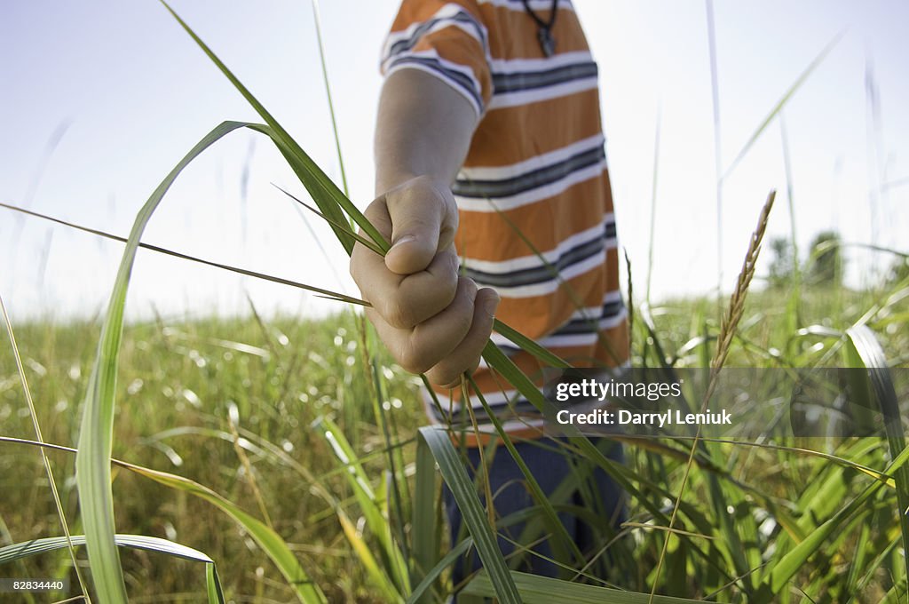 Boy, age 7-9, grabbing grass with hands