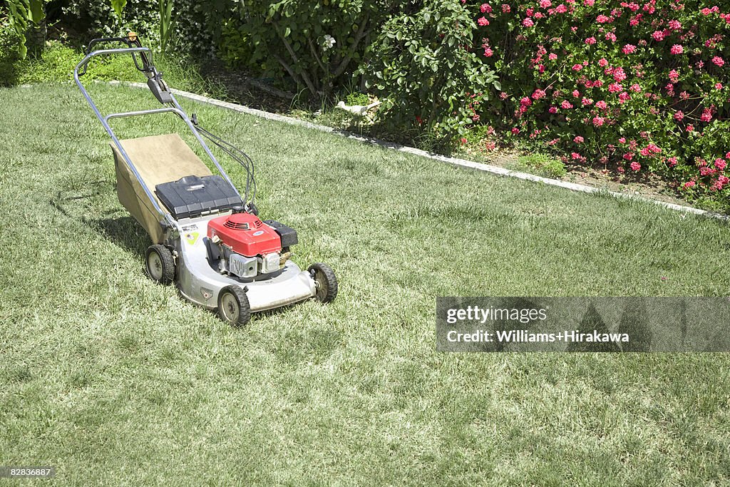 Lawnmower sitting on the lawn
