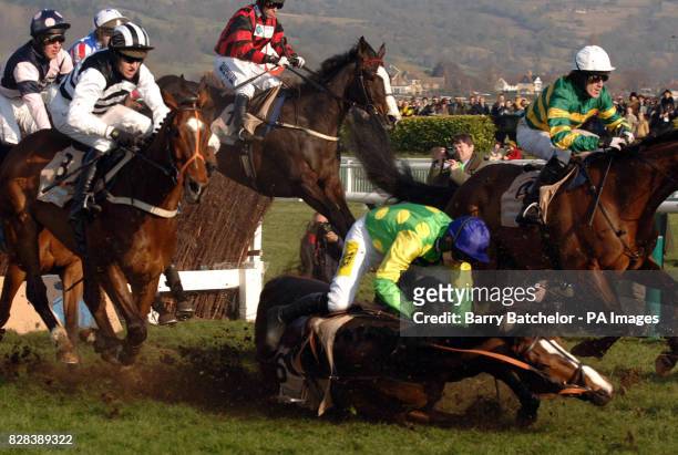 Kauto Star ridden by jockey Ruby Walsh falls, with Moscow Flyer ridden by jockey Barry Geraghty running on in the Queen Mother Champion Chase on the...
