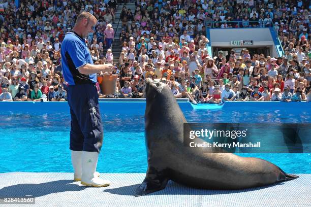 Senior Keeper Regan Beckett and Makea the California Sea Lion perform during a family open day at Marineland of New Zealand, Napier, November 11,...