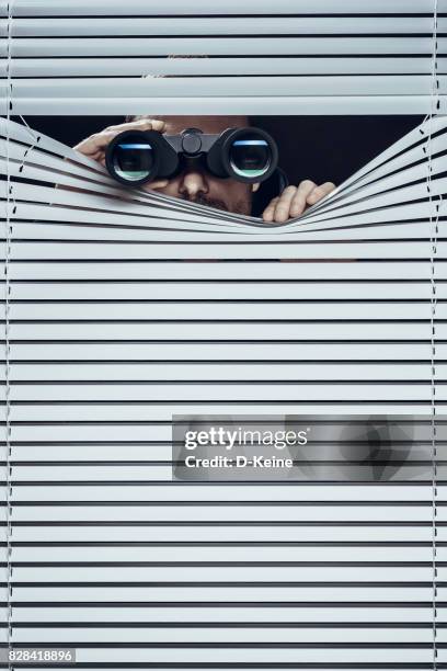 spy - window blinds stock pictures, royalty-free photos & images
