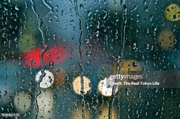 rain - raindrop fotografías e imágenes de stock