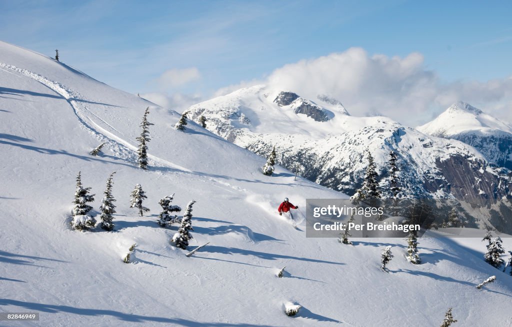 Powder skiing, Bella Coola,BC, Canada