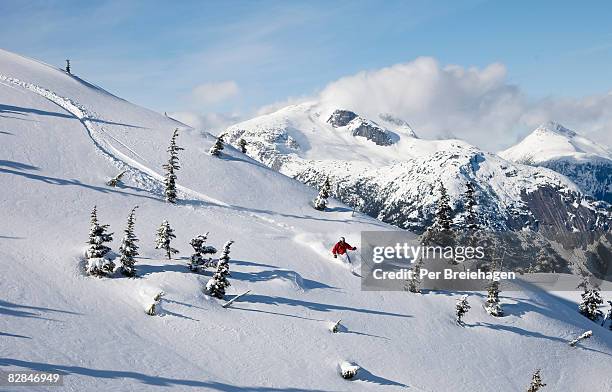 powder skiing, bella coola,bc, canada - extreem skiën stockfoto's en -beelden