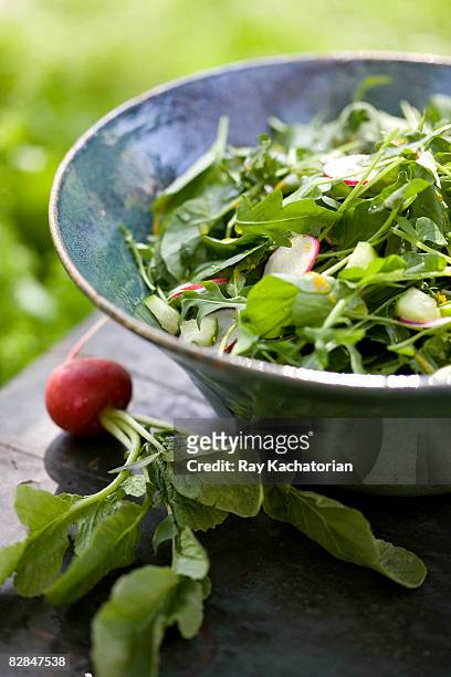 arugula salad - arugula stock pictures, royalty-free photos & images
