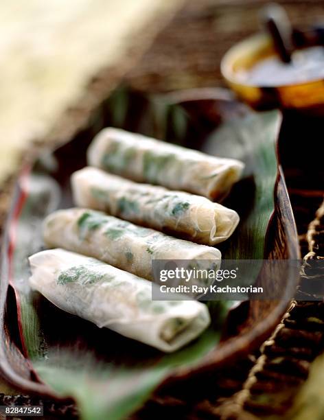 sping rolls - goi cuon stock pictures, royalty-free photos & images