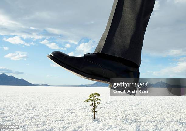 businessman stepping on small tree - stappen stockfoto's en -beelden