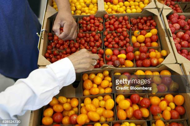 Customer browses tomatoes displayed for sale during the grand opening of a Whole Foods Market 365 location in Santa Monica, California, U.S., on...