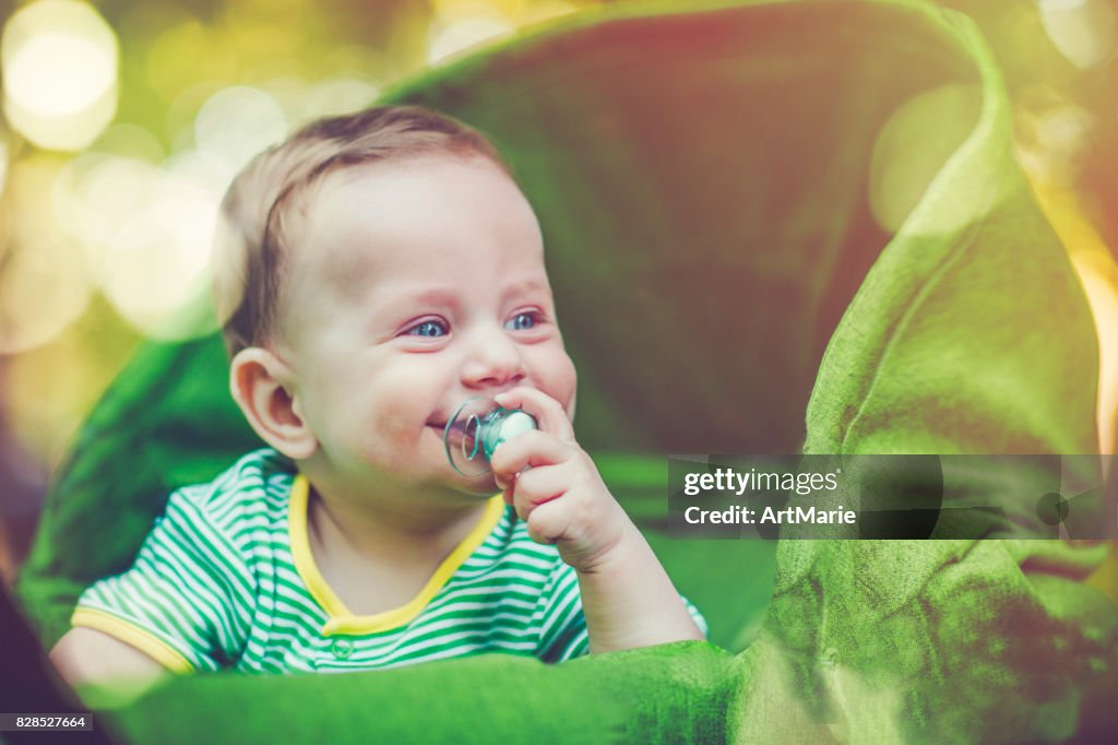 Cute baby in carriage outdoors in summer