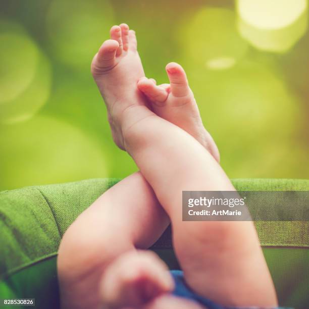 baby's feet in carriage outdoors in summer - foot nature green stock pictures, royalty-free photos & images
