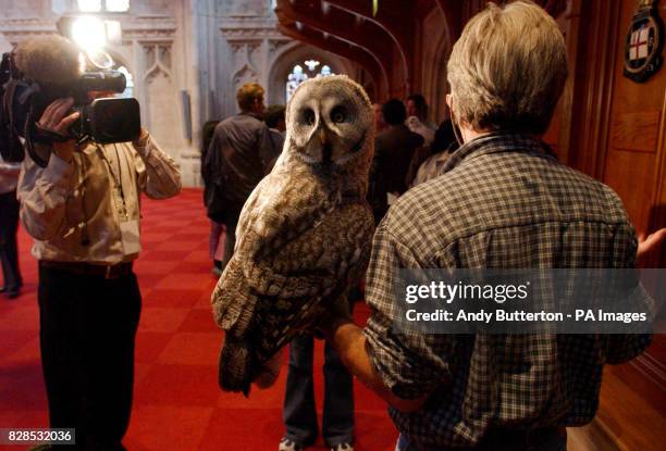 The Owl from the latest Harry Potter film 'Harry Potter and the Chamber of Secrets' during a photocall.