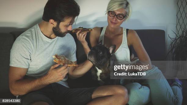 adorable couple and pet eating pizza - evening news 2017 stock pictures, royalty-free photos & images