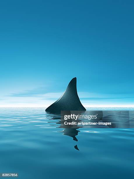 shark waiting in th calm blue sea - flosse stock-grafiken, -clipart, -cartoons und -symbole