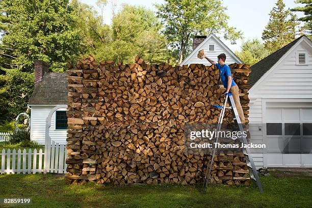 man on ladder, stacking wood - überfluss stock-fotos und bilder