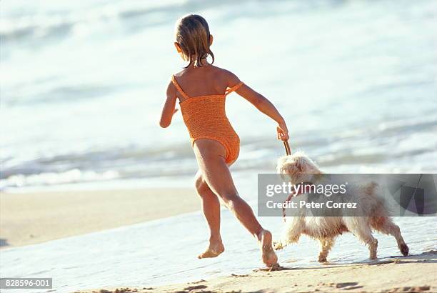 girl (3-5) running on beach with dog, rear view - neben stock-fotos und bilder