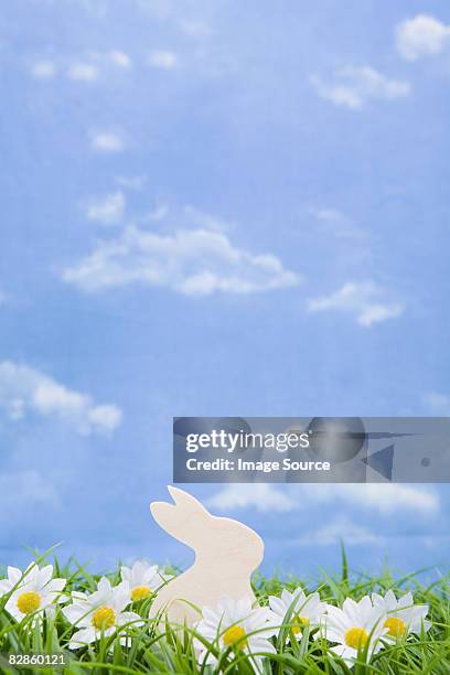 a white rabbit shape - false daisy stock pictures, royalty-free photos & images
