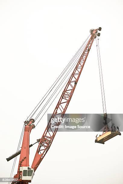 crane - crane stock pictures, royalty-free photos & images