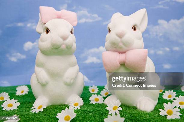 259 Fake Daisy Flowers Stock Photos, High-Res Pictures, and Images ...