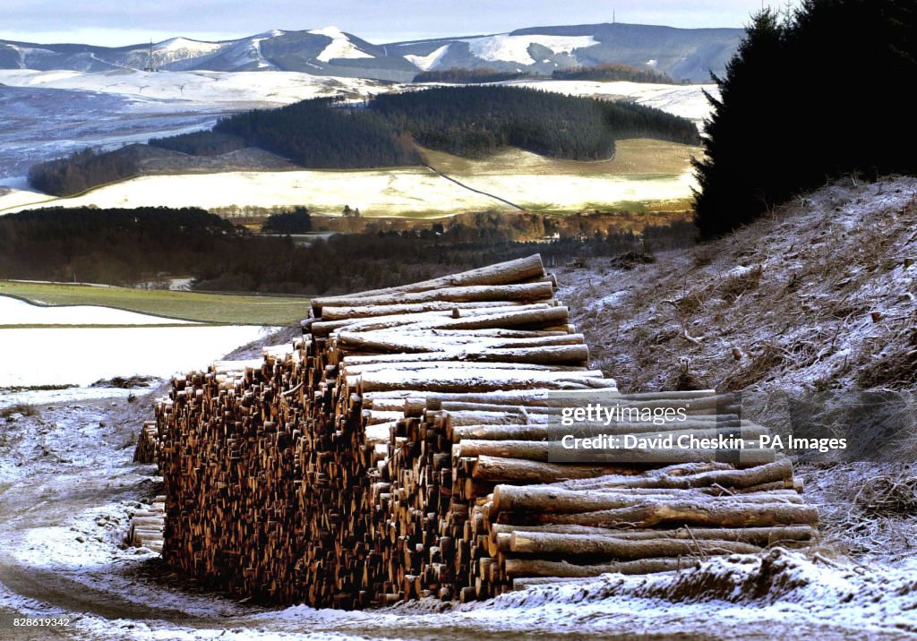 Timber Industry - Scotland