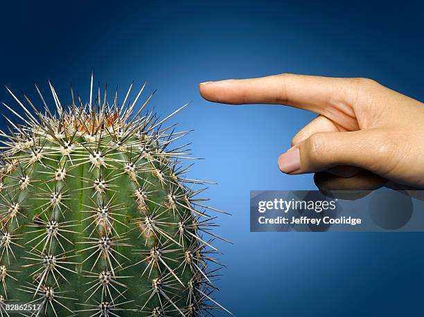 woman's hand pointing at cactus - scherp stockfoto's en -beelden