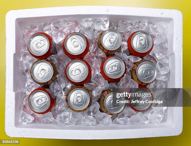 drinks in cooler - cooler foto e immagini stock