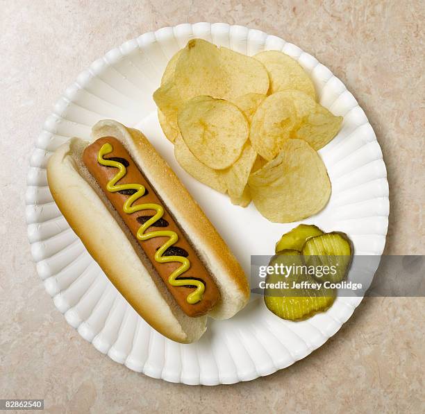 hog dog in bun on paper plate - paper plate stock pictures, royalty-free photos & images