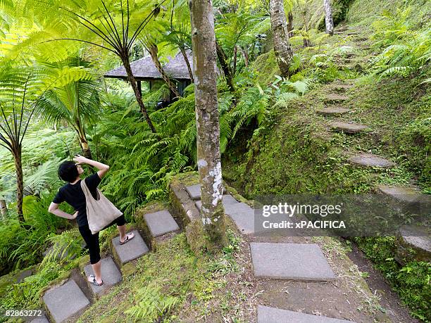 a woman strolls down the stone path. - stepping stone top view stock pictures, royalty-free photos & images