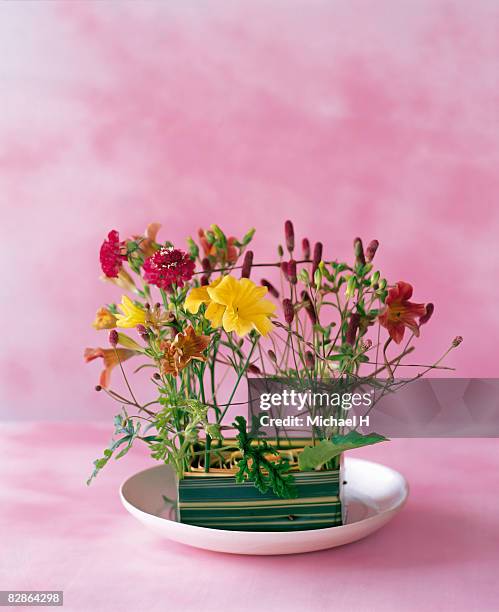 salpiglossis and burnet in new zealand flax vase - new zealand flax stockfoto's en -beelden