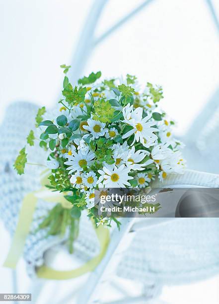 bouquet of marguerite on chair - chrysanthemum parthenium stock pictures, royalty-free photos & images