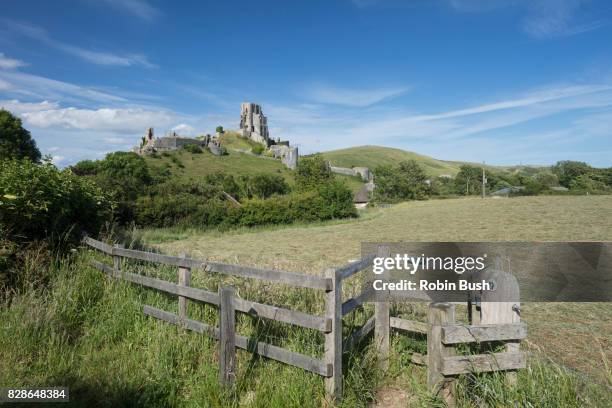 corfe castle from public footpath - corfe castle stock pictures, royalty-free photos & images