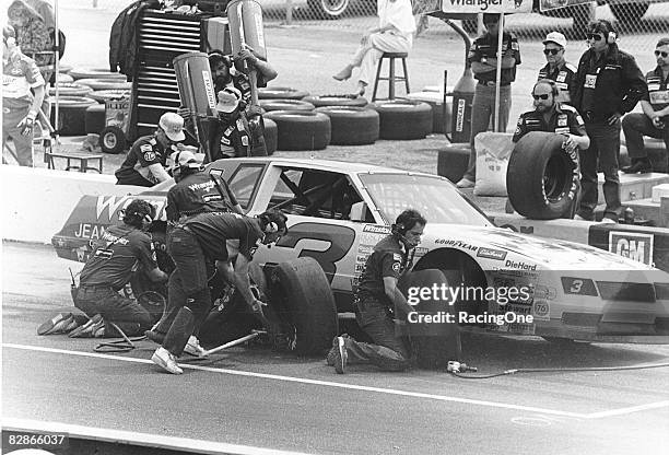 1980s: The Richard Childress pit crew won the World Pit Crew Championship from 1985 through 1988, with Kirk Shelmerdine as crew chief.