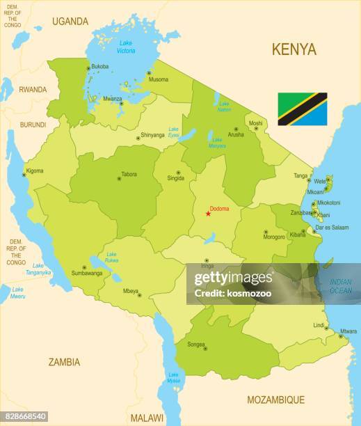 flat map of tanzania with flag - tanzania stock illustrations