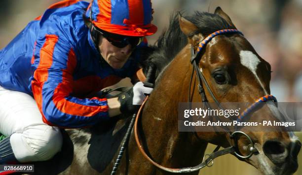 Tom Kurthy 24 Magistretti Stock Photos, High-Res Pictures, and Images - Getty Images