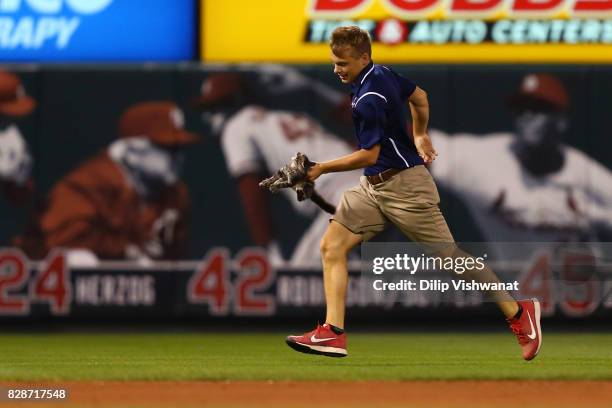 Member of the St. Louis Cardinals grounds crew removes a kitten from the field in the sixth inning during a game against the Kansas City Royals at...