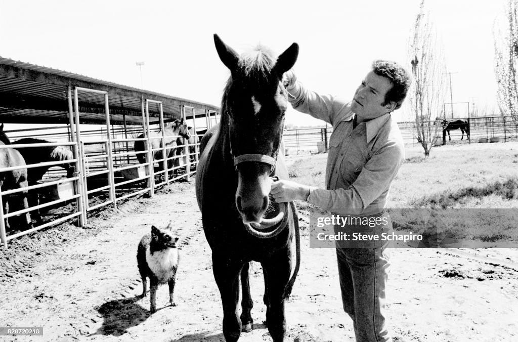 William Shatner With Horse