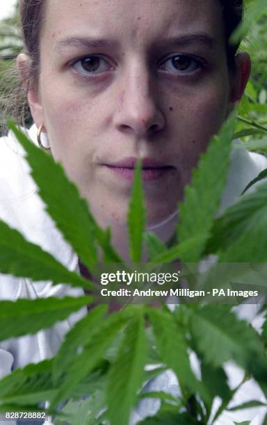 Clara Odonnell spokesperson from the Legalise Cannabis Society, stands in the garden of multiple sclerosis sufferer Elizabeth Ivol in South...