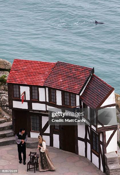 Dolphin swims past as members of CambridgeUniversity's Gilbert and Sullivan Society perform 'The Yeomen Of The Guard' at the Minack Theatre's...