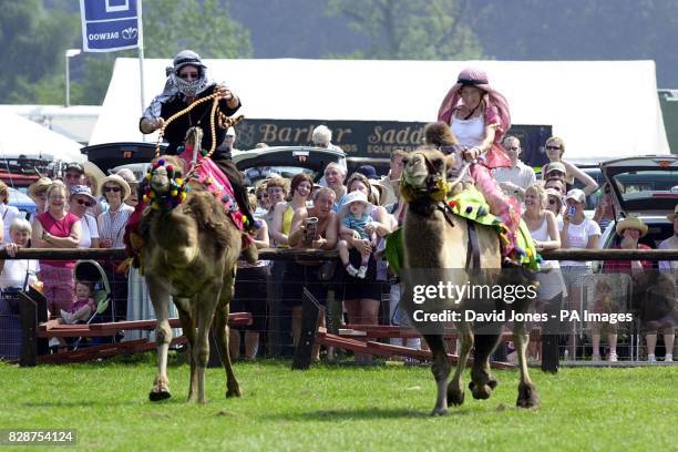 Black Jim rides Calish and bactrian camel Humphrey, ridden by Lady Jane , at the 173rd Annual Bakewell Show. The racing camels top the bill on the...